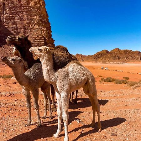 Wadi Rum Polaris Camp מראה חיצוני תמונה