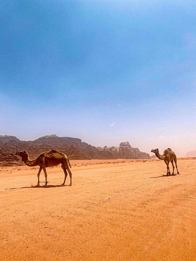 Wadi Rum Polaris Camp מראה חיצוני תמונה