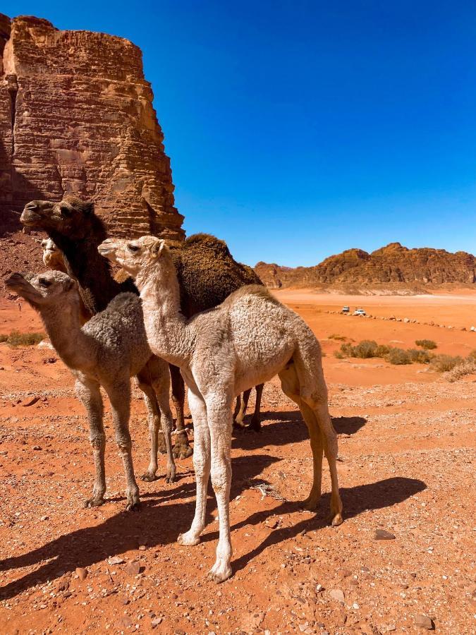 Wadi Rum Polaris Camp מראה חיצוני תמונה