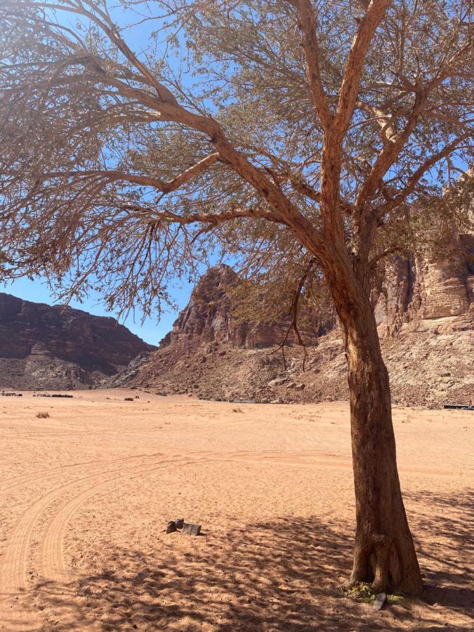 Wadi Rum Polaris Camp מראה חיצוני תמונה